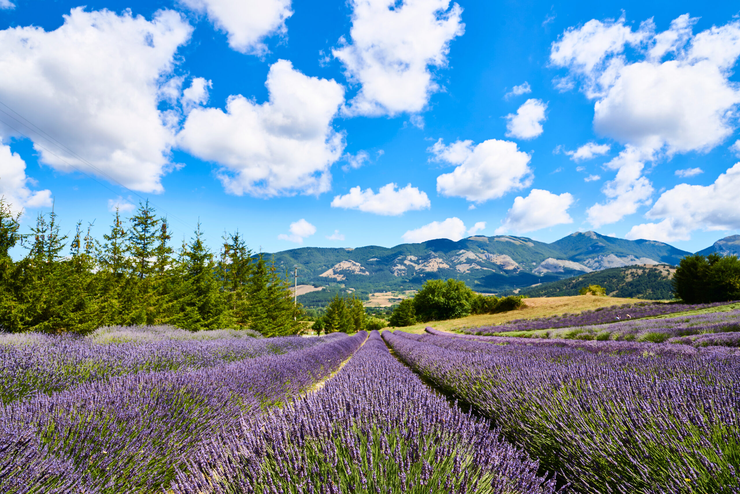 Parco Nazionale del Pollino